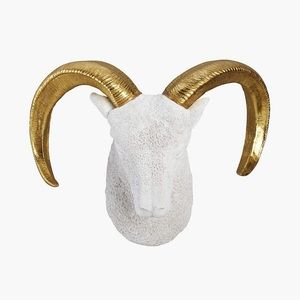 CB2 Goldie the Ram Exclusive for CB2